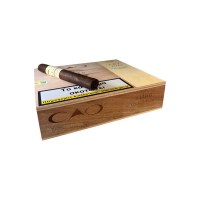 Cao Pilon Corona 20B 1s Enkedro